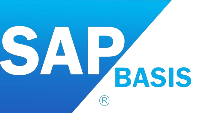 SAP BASIS Classes in Vadodara